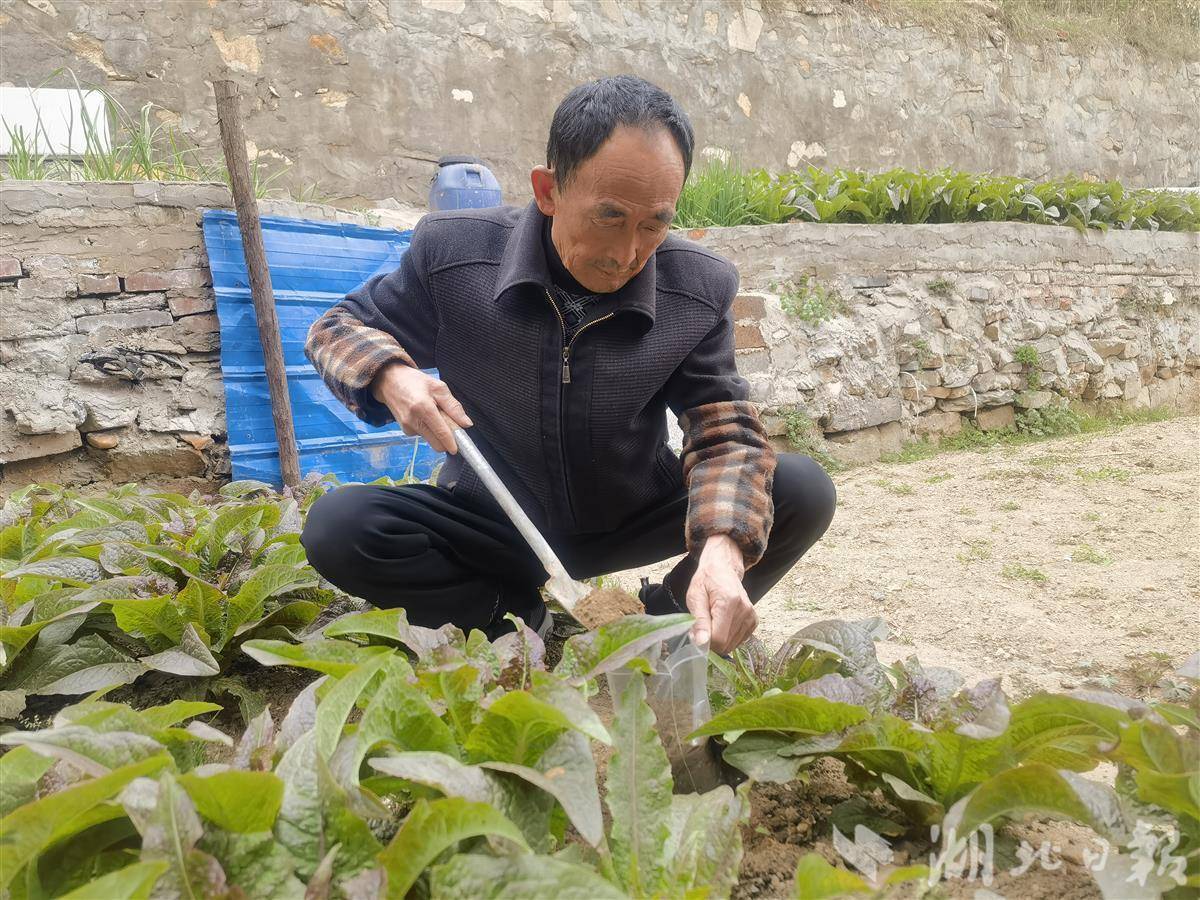 老人方汉宾飞往塞尼扬，骗子追捕他的父亲Fang
