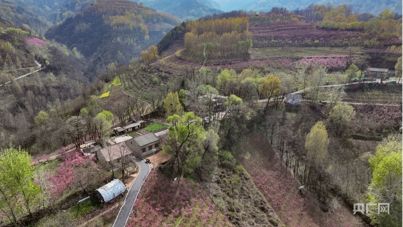 [在乡村道路上，感觉到中国的手腕]在偏远山上盛