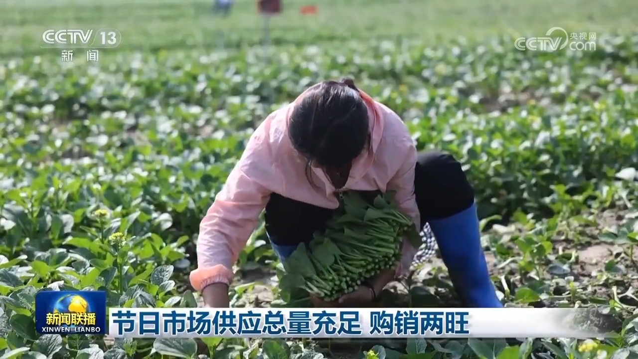 节日市场的总供应就足够了,购买和销售正在出