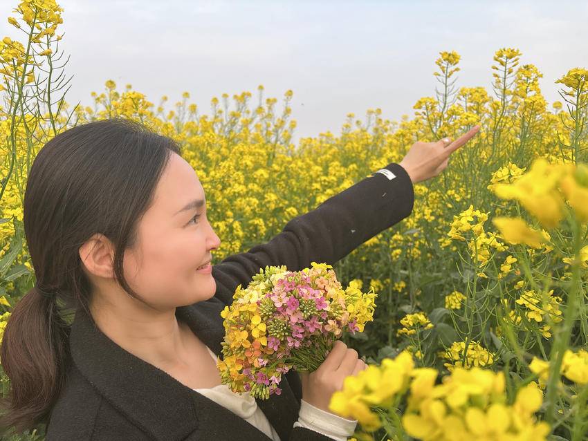 以花为媒，魏河村万亩油菜花田开放“交旅交融”新画卷