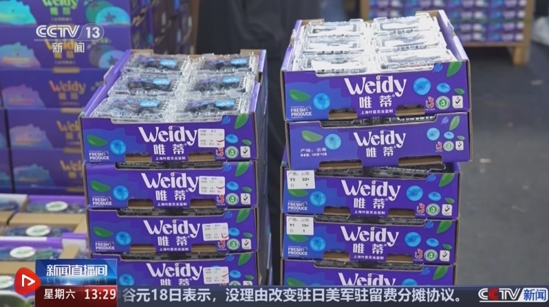 水果刺客→流行的著名技术向人们注入“水果盘