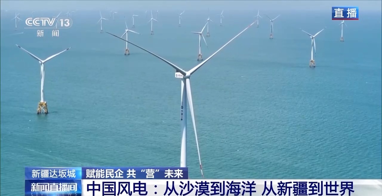 绿电“捕风者”领跑全球“海鲜”养殖火出圈新疆解锁“聚宝盆”新密码(图4)