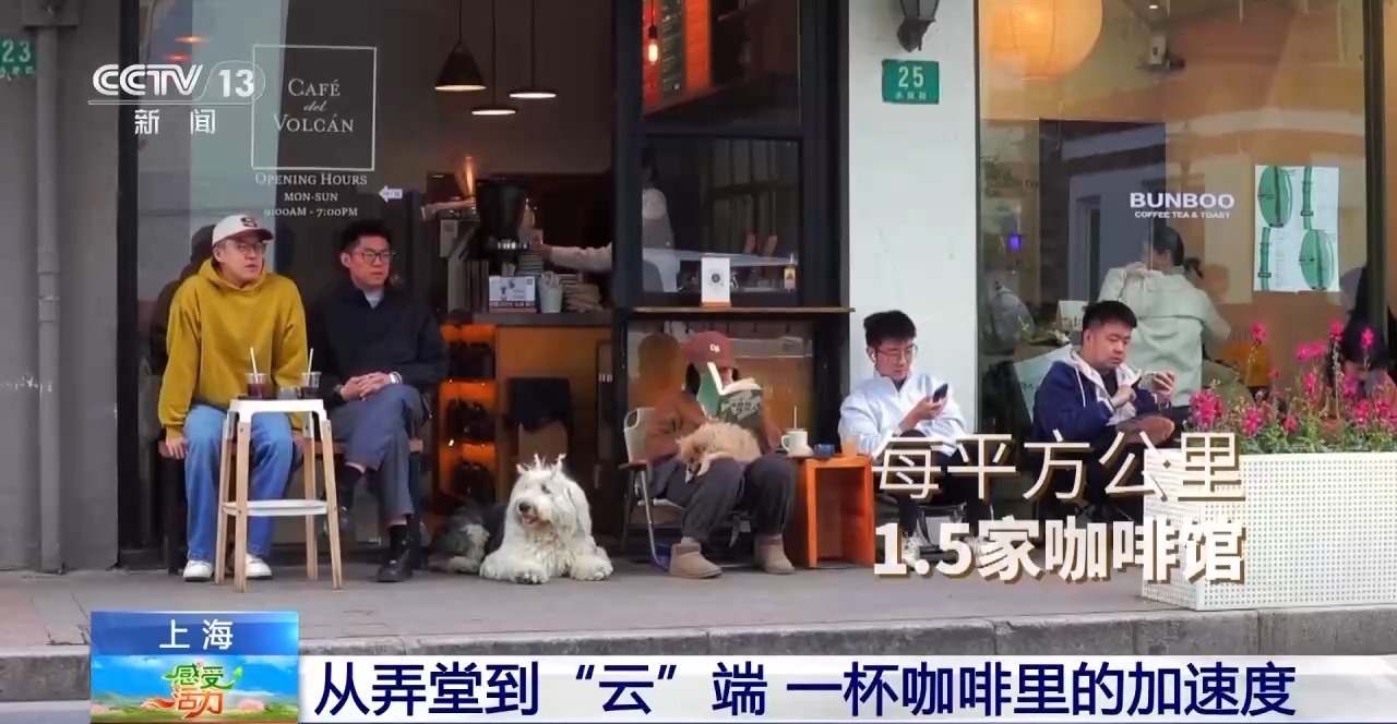 开云下载“啡”比寻常 上海人早晨的那杯咖啡是刚需(图1)