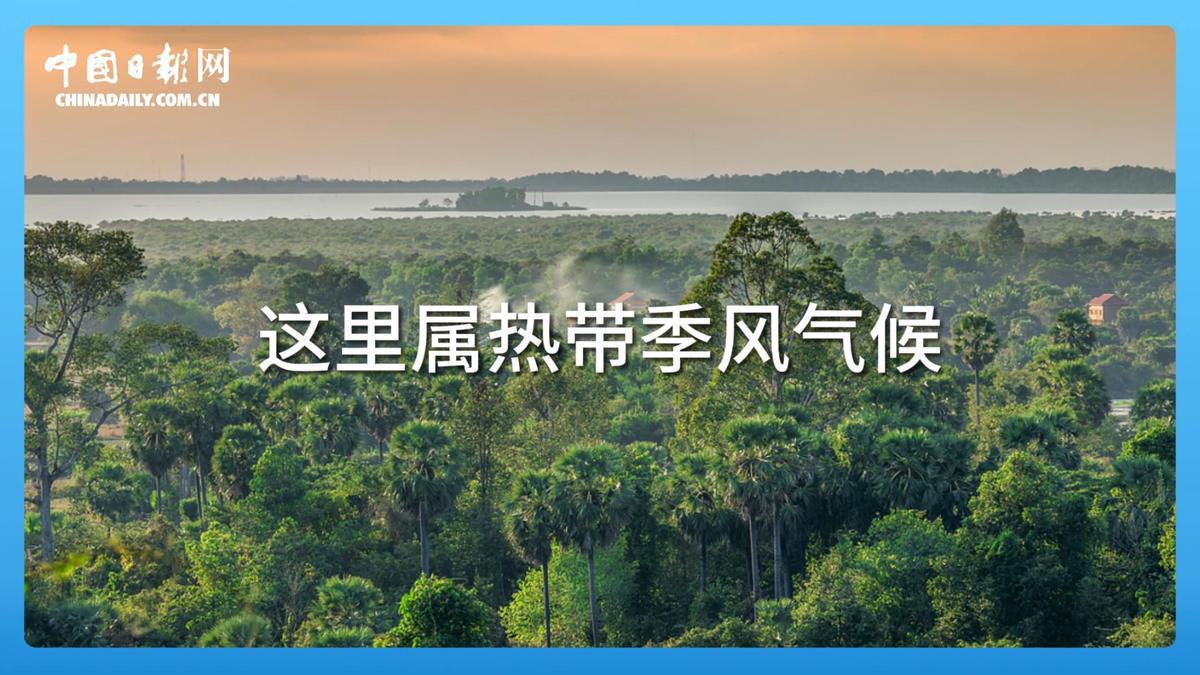 跟随习近平看世界