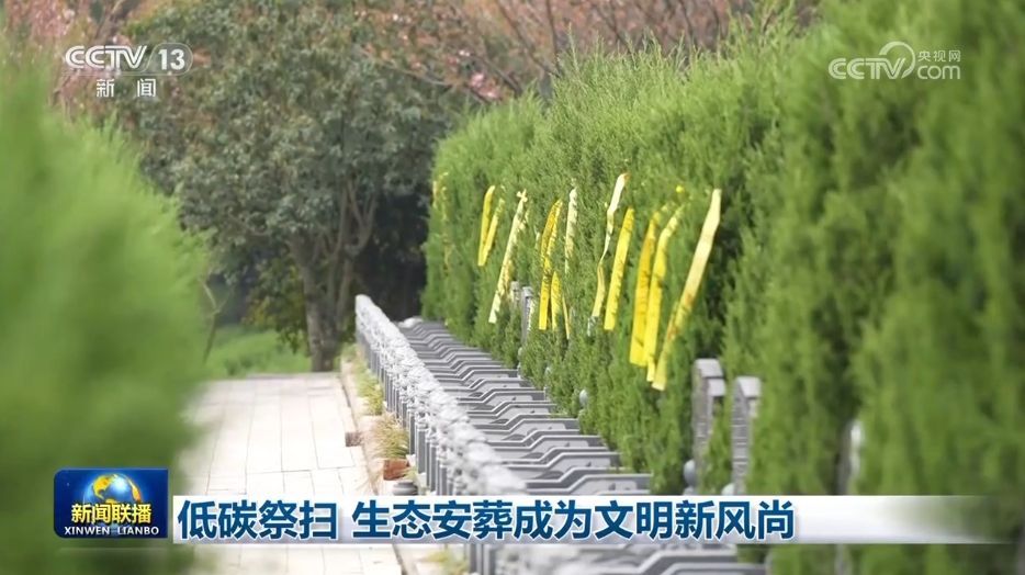 低碳追悼会，生态葬礼已成为文明的新趋势