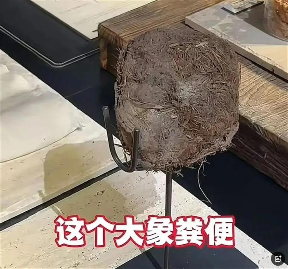 用大象粪便做甜品的餐厅因开云入口违反食品安全法被立案调查(图2)
