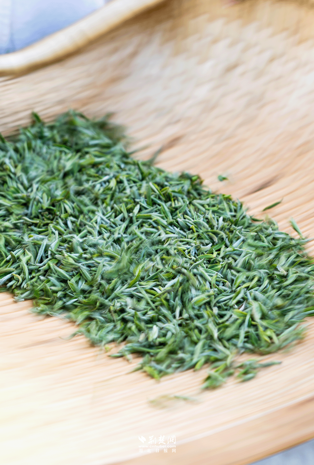 640?wx_fmt=png&from=appmsg&&wxfrom=5&wx_lazy=1&wx_co=1