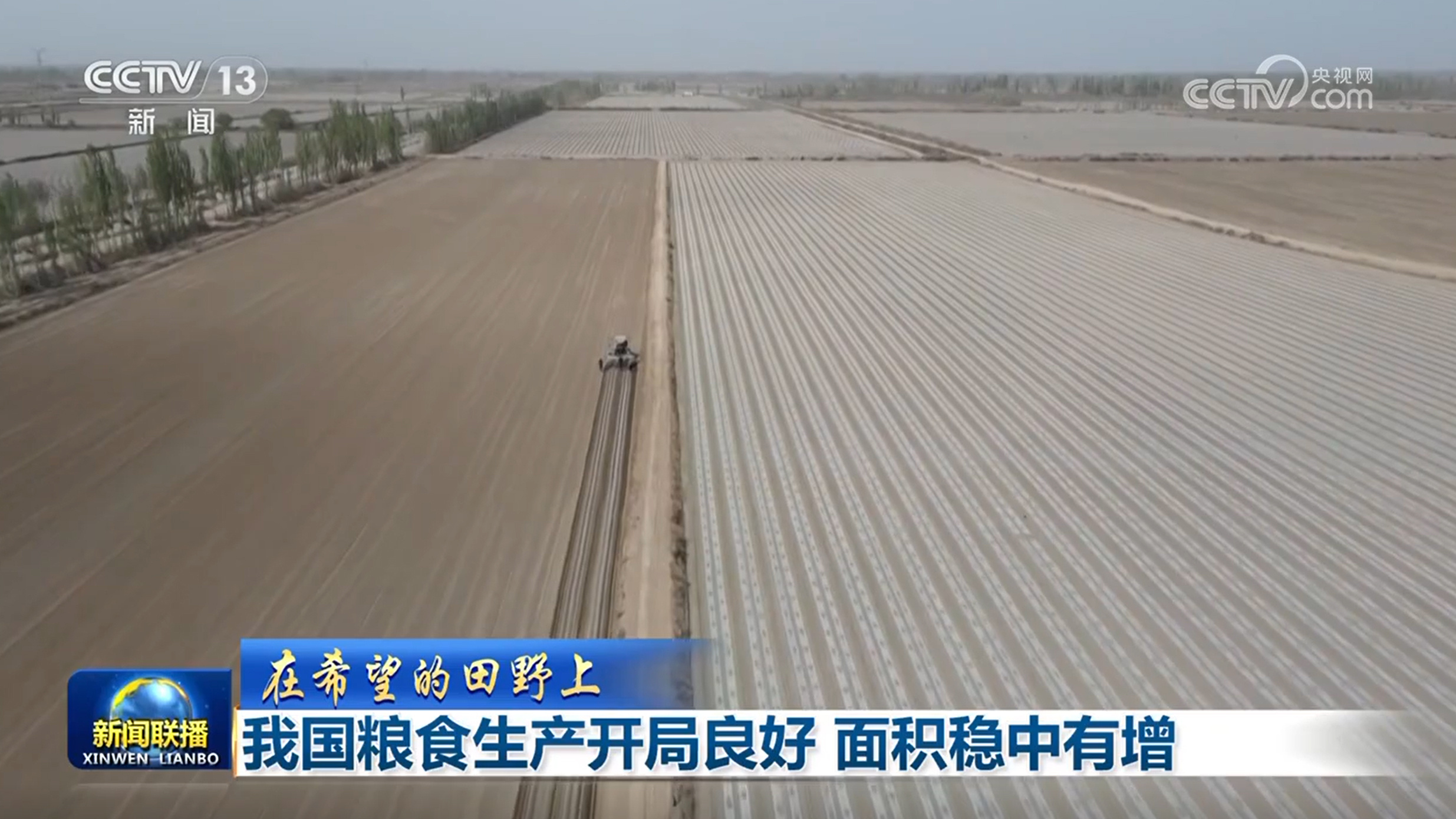 [在希望的领域]我国家的谷物制作已经正常开始，