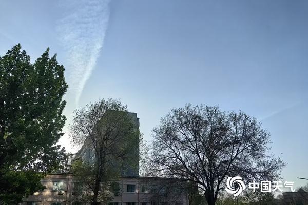 如今，北京的最高温度可以达到31℃，今年可能会