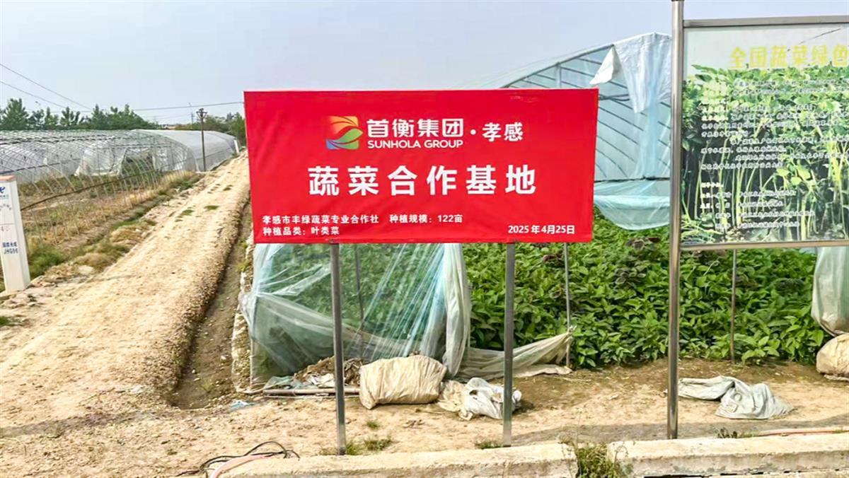 蔬菜种植基地规模多米体育平台再扩容全链条升级助力农产品流通降本增效(图2)