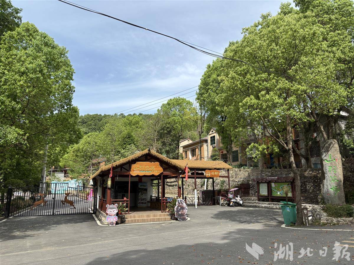 谁说村庄留不住人？这个鄂西北山村常住人口比户籍多出近一倍