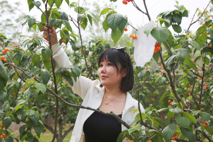 文旅交融赋新能 诗意田园促复兴