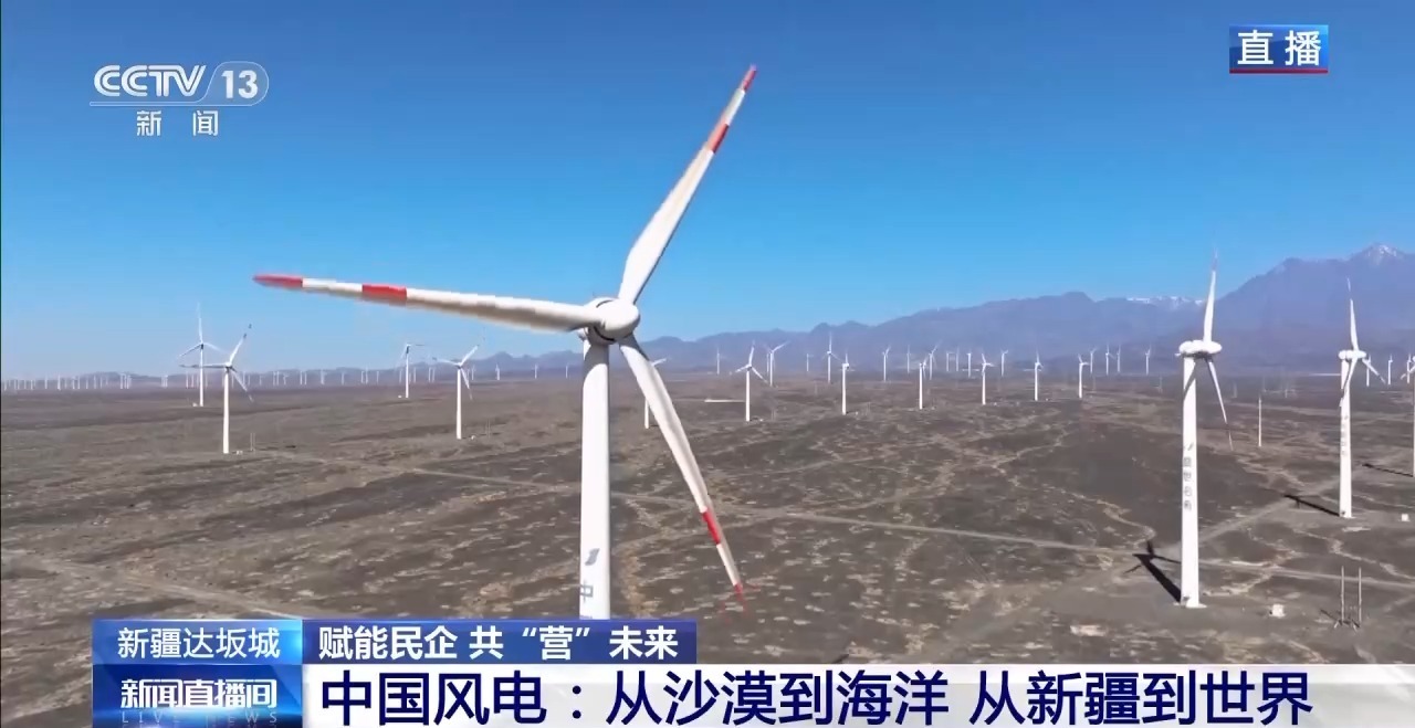 绿电“捕风者”领跑全球“海鲜”养殖火出圈新疆解锁“聚宝盆”新密码(图6)