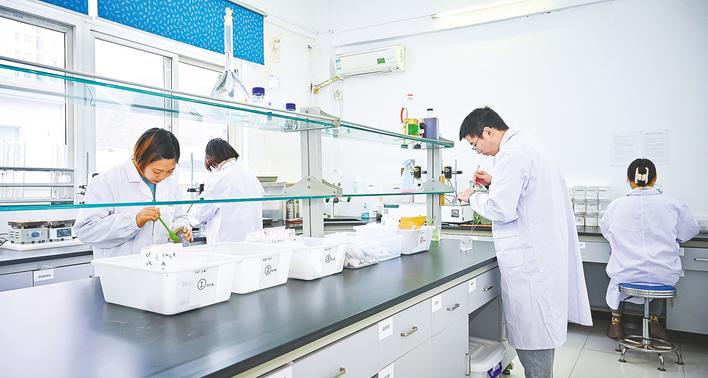 在远处壮成长 - 在民族运动的脉搏上写下“长河
