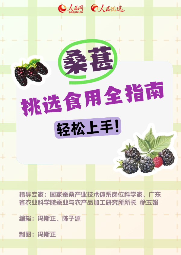 这份桑葚选择食用攻略，请查收！