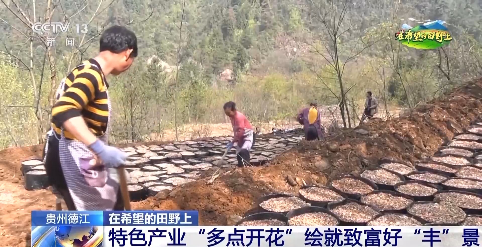 在希望的田野上丨补贴组九游娱乐网址合拳+种植新模式 各地春耕再升级(图11)