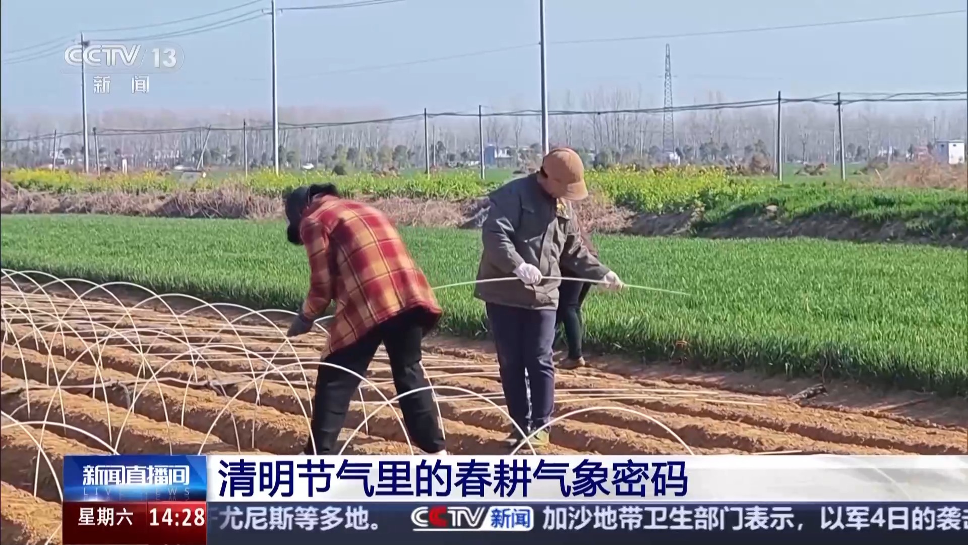Qingming节也有A-B的一面：这不仅是发行的好时机，