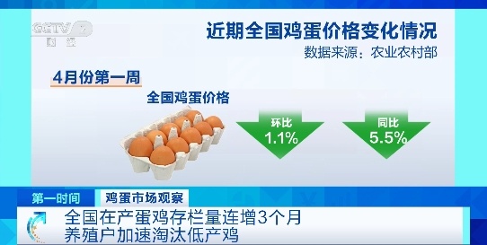 鸡蛋价格已经下跌了5周。专家判断下一个趋势→