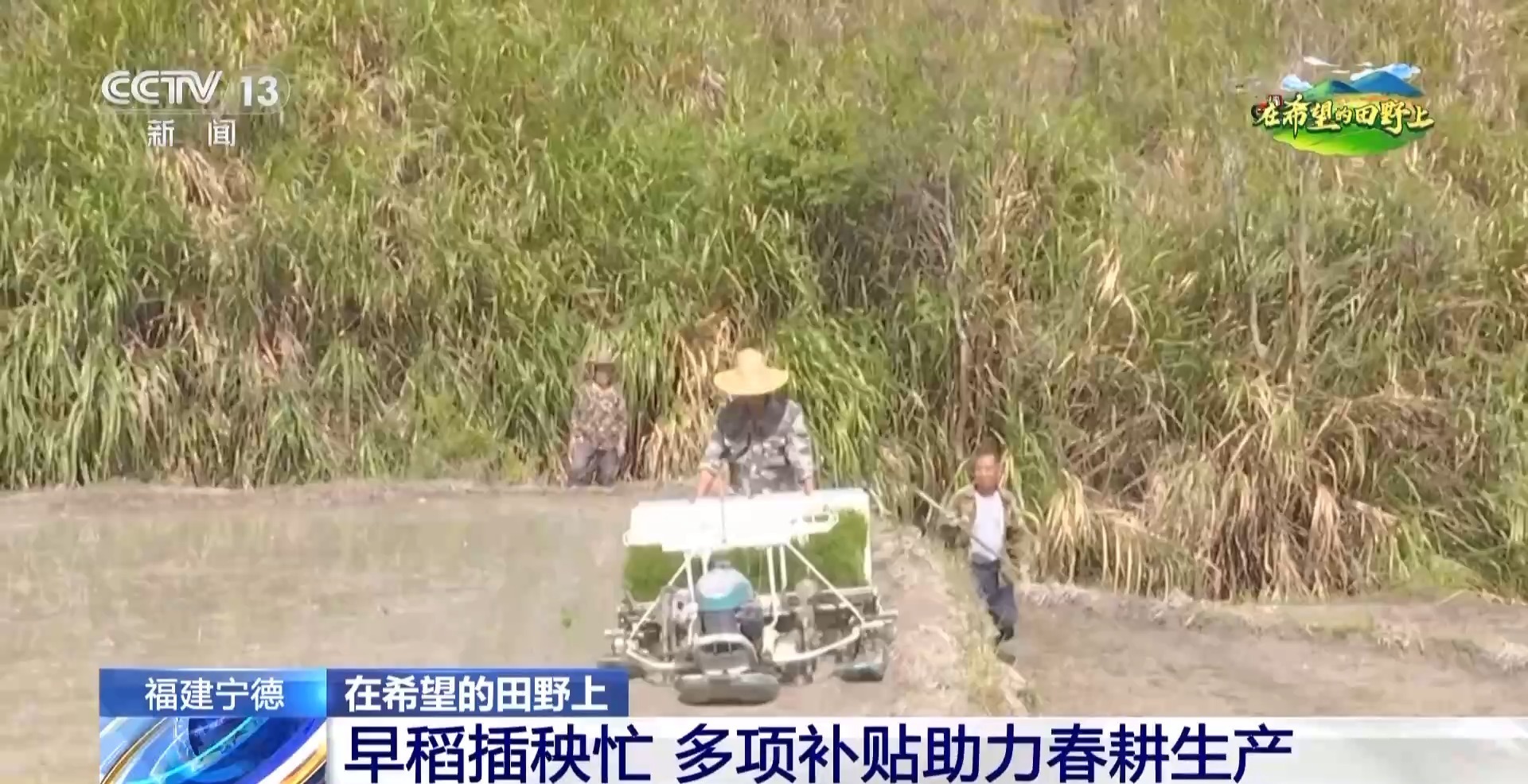 在希望的田野上丨补贴组九游娱乐网址合拳+种植新模式 各地春耕再升级(图2)
