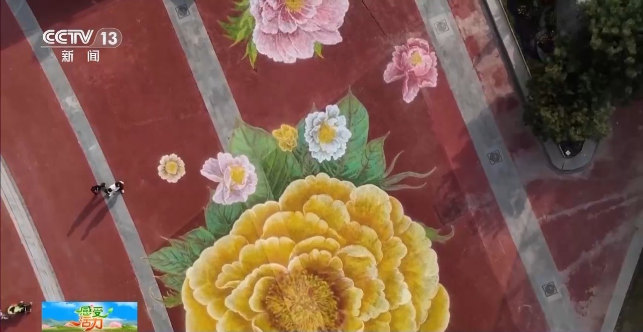 民族美女的“交通”牡丹，一