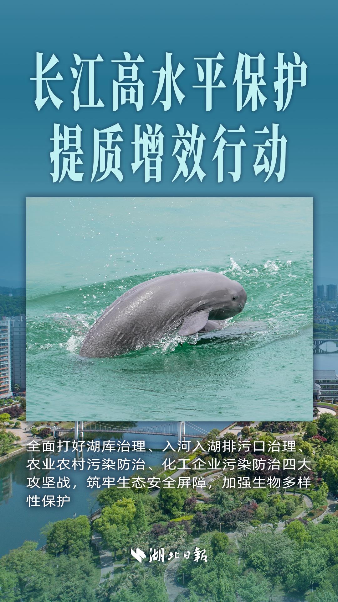 观看湖北的六个技巧，以改善生态外观