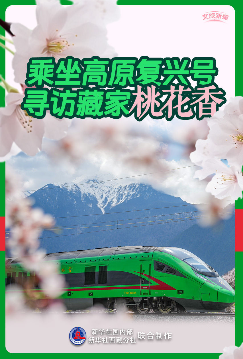 文化和旅游业的新探索|让高原幻想参观收藏家的