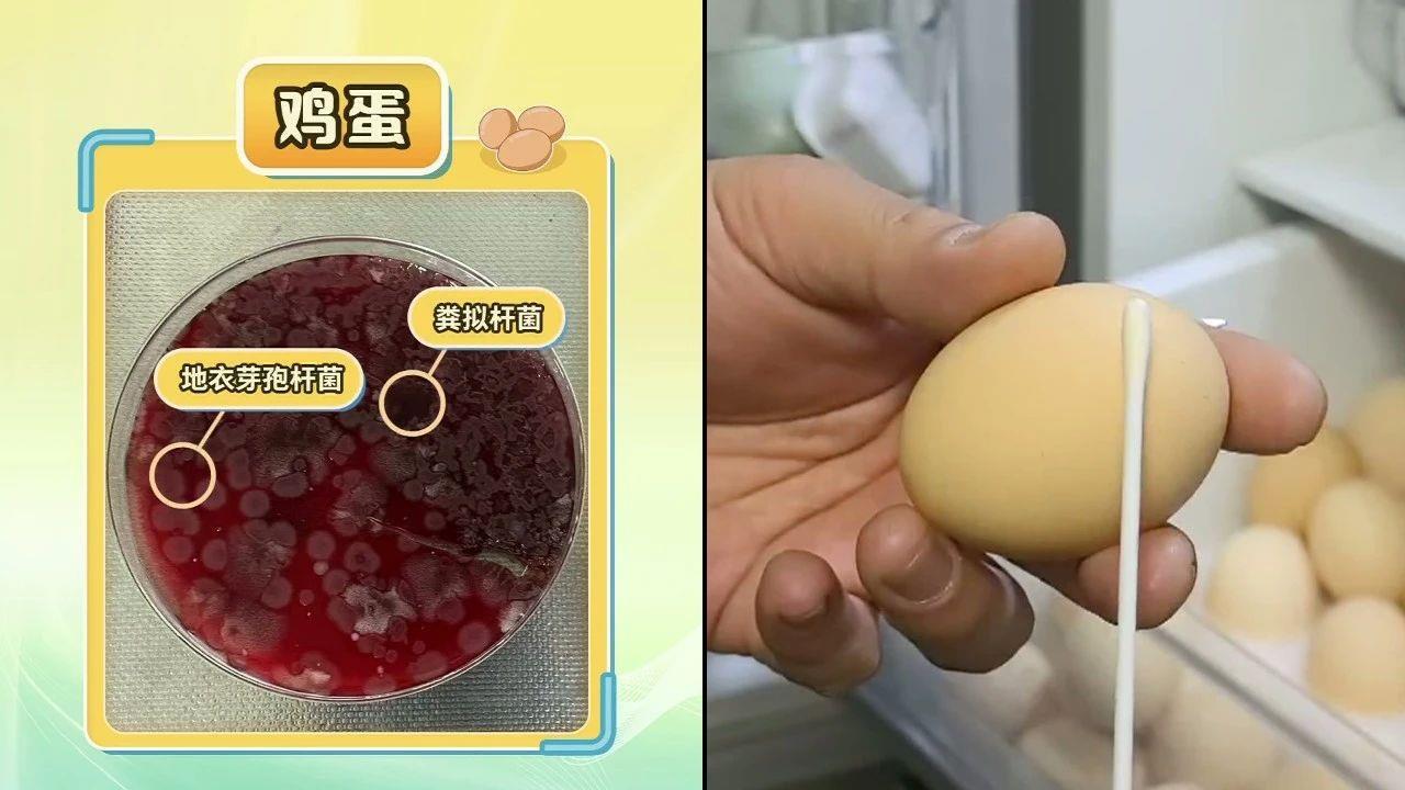 不要让冰箱成为“细菌培养皿”。请检查本指南