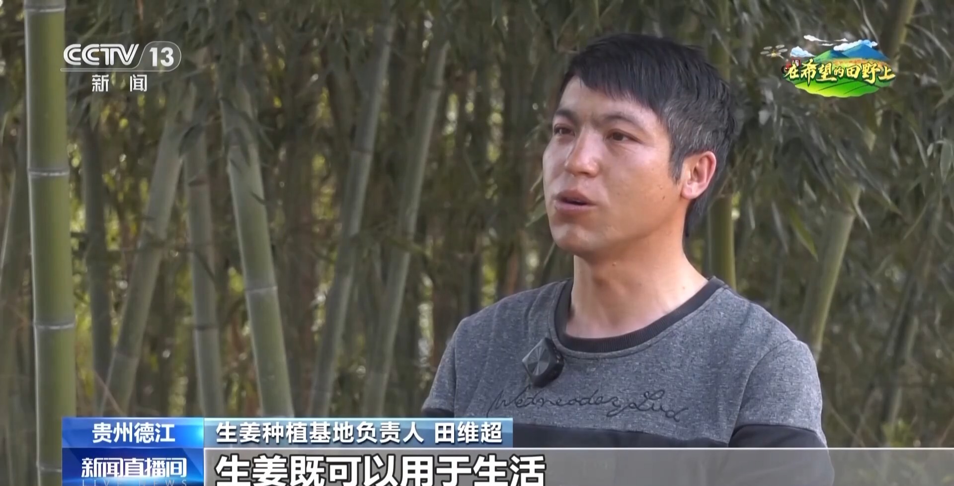 在希望的田野上丨补贴组九游娱乐网址合拳+种植新模式 各地春耕再升级(图10)