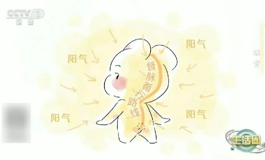 在春季烘干背部有很多好处！ “全电荷”身体超