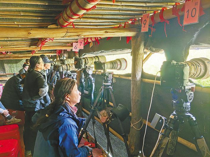 建立一个鸟观看锅，吸引“鸟朋友”来到微信上