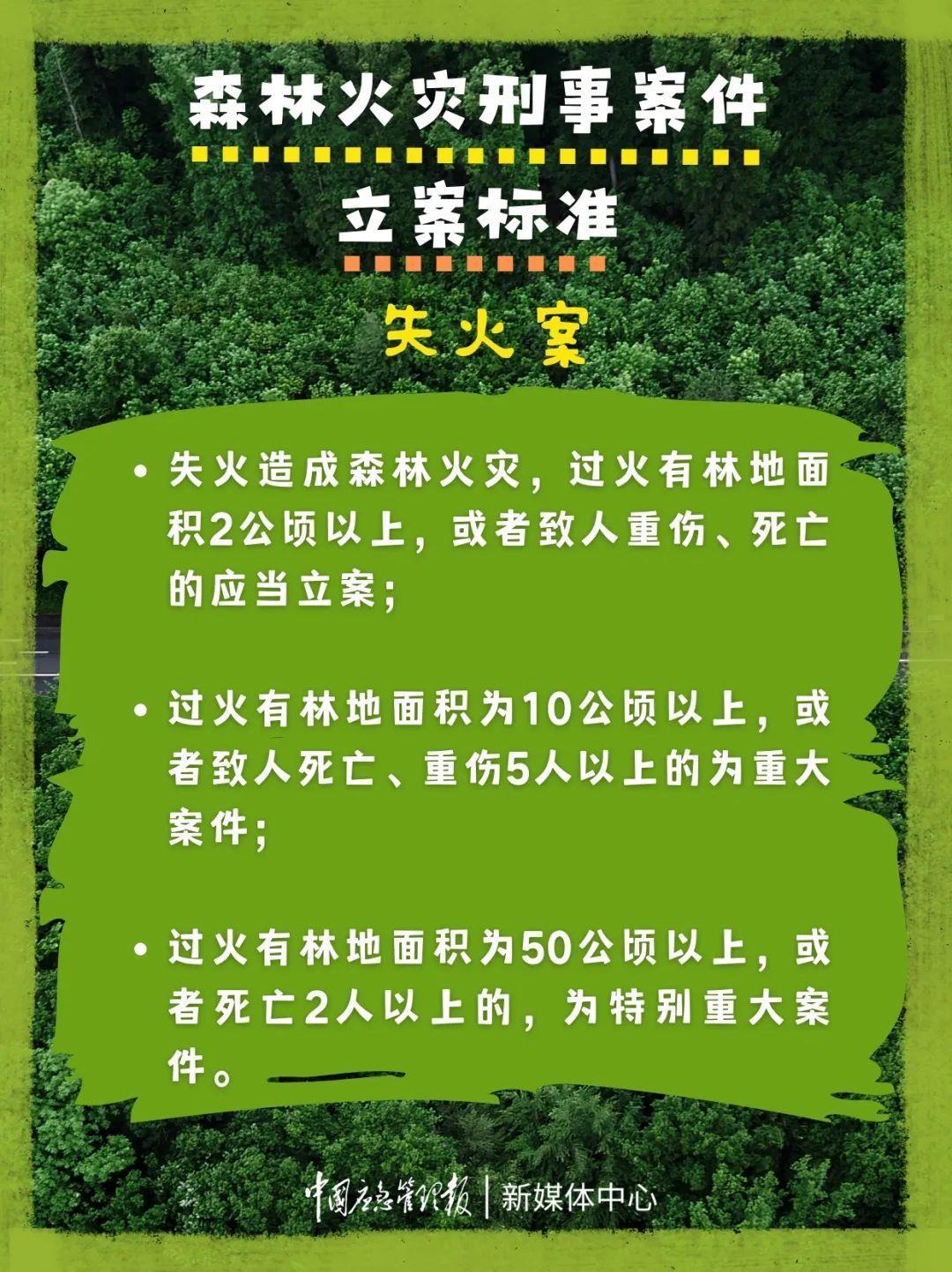 在野外非法使用大火或涉嫌犯罪！记住森林火的