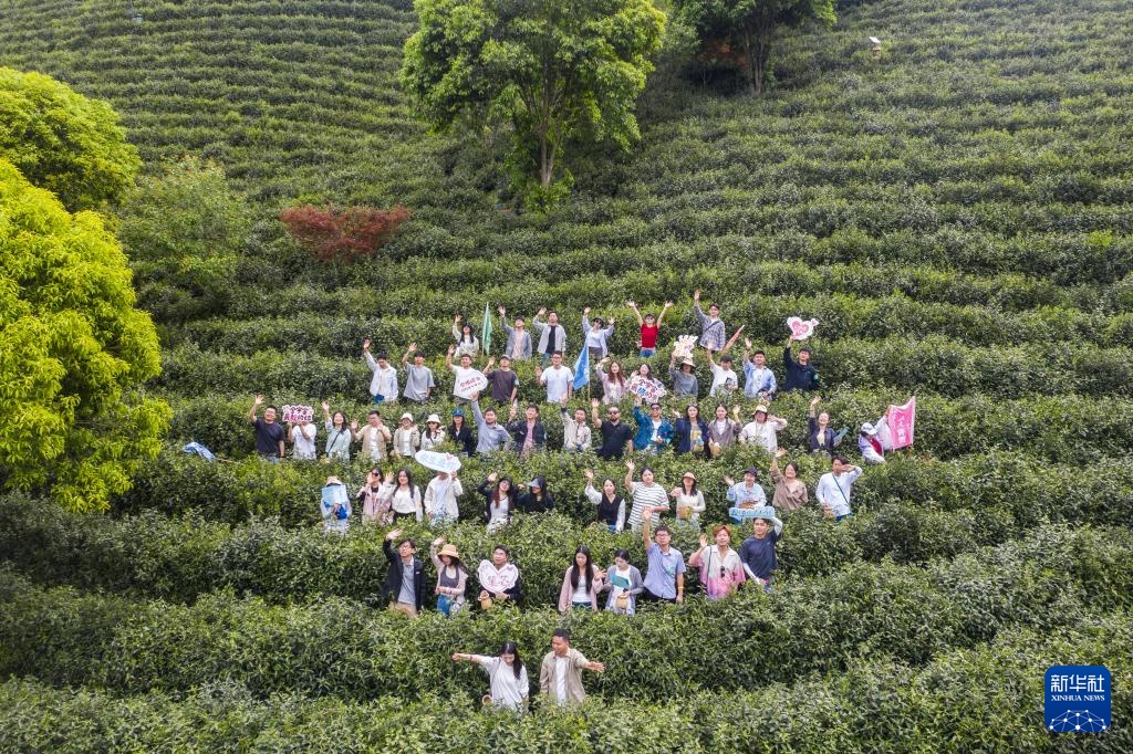 茶镇的旅游风格春季文化的新现场