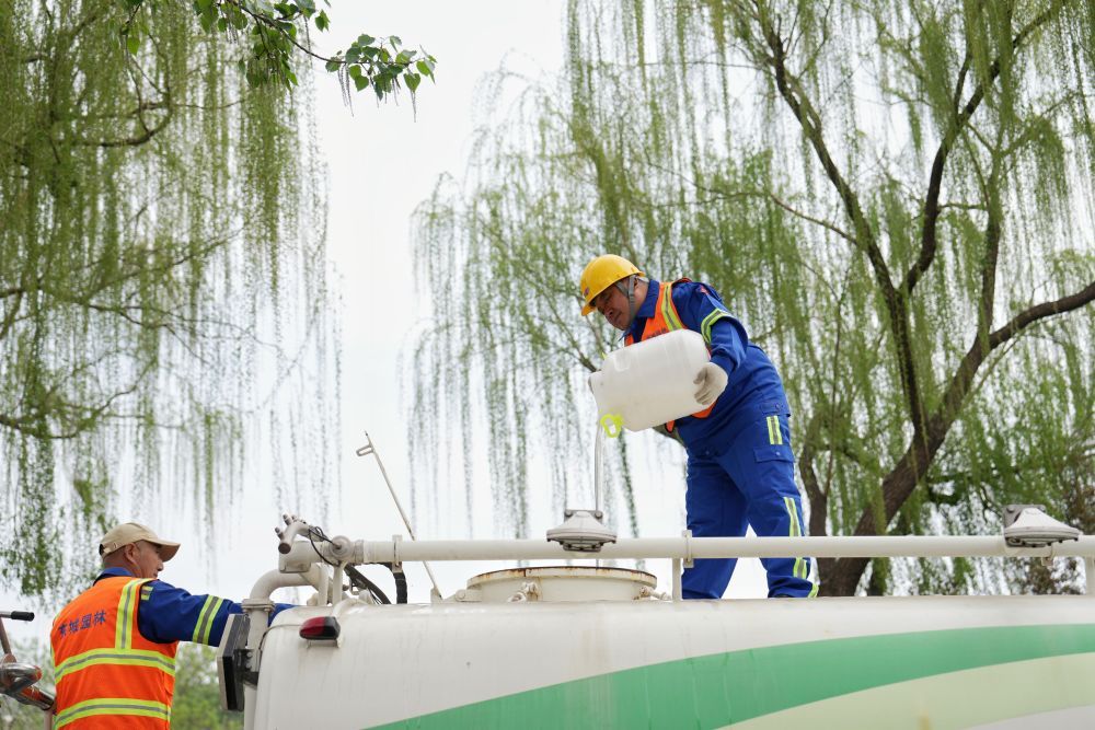 唠“科”话｜“最美四月天”遇上杨柳絮该拿“粘人”的白gogo体育官网毛毛怎么办？(图3)