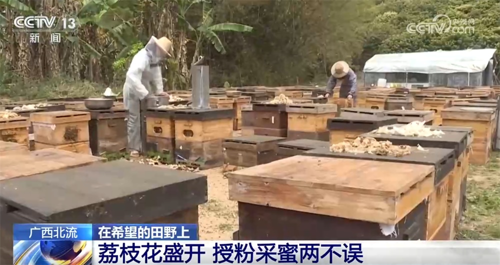 智能设备描绘出一幅幅“数字春耕图” 希望的田野迸发勃勃生机(图6)