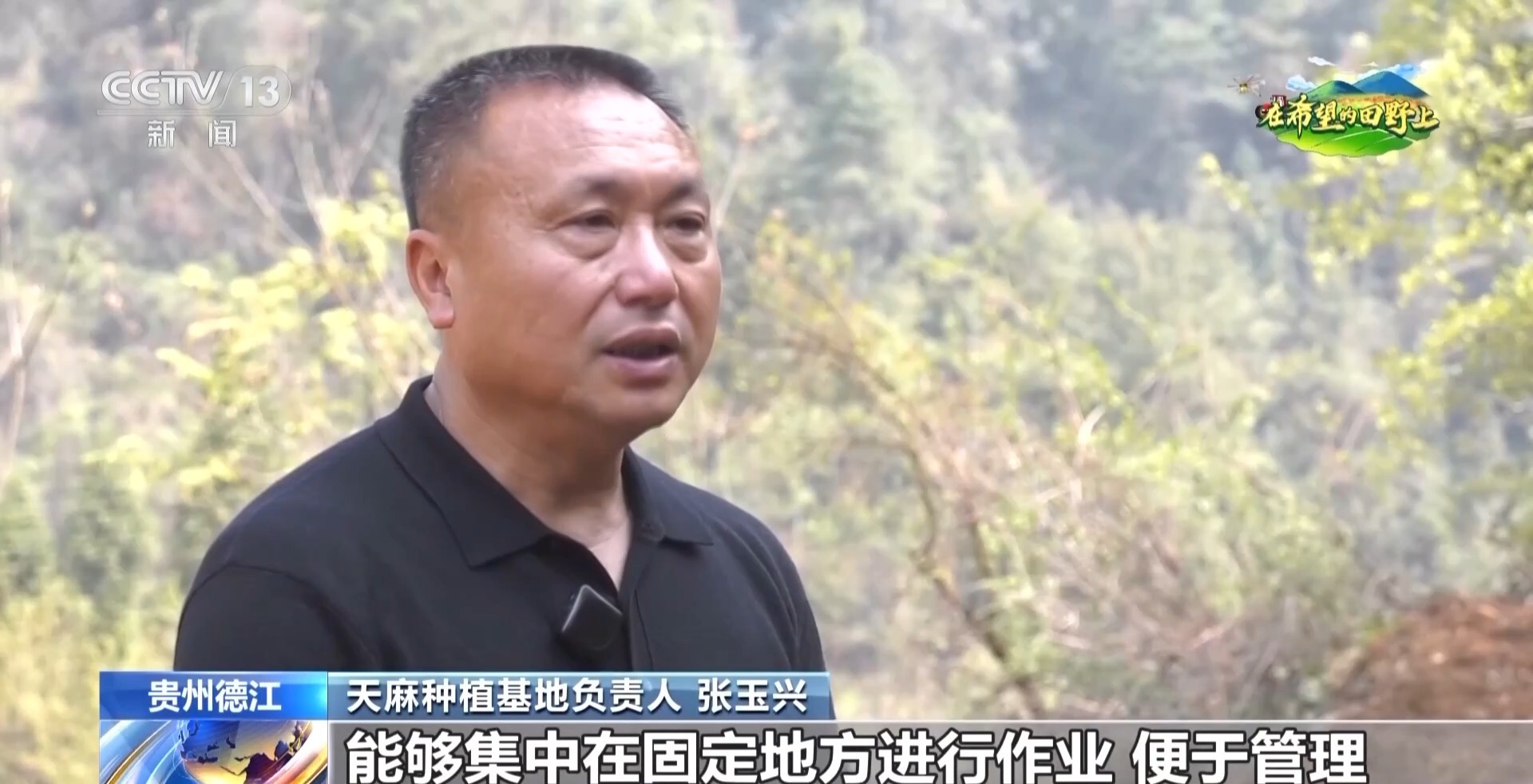 在希望的田野上丨补贴组九游娱乐网址合拳+种植新模式 各地春耕再升级(图12)