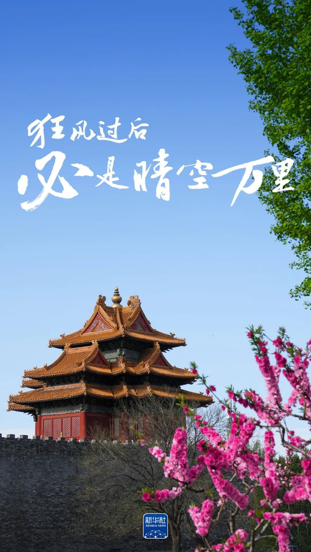 在强风之后，天堂肯定会很清楚！