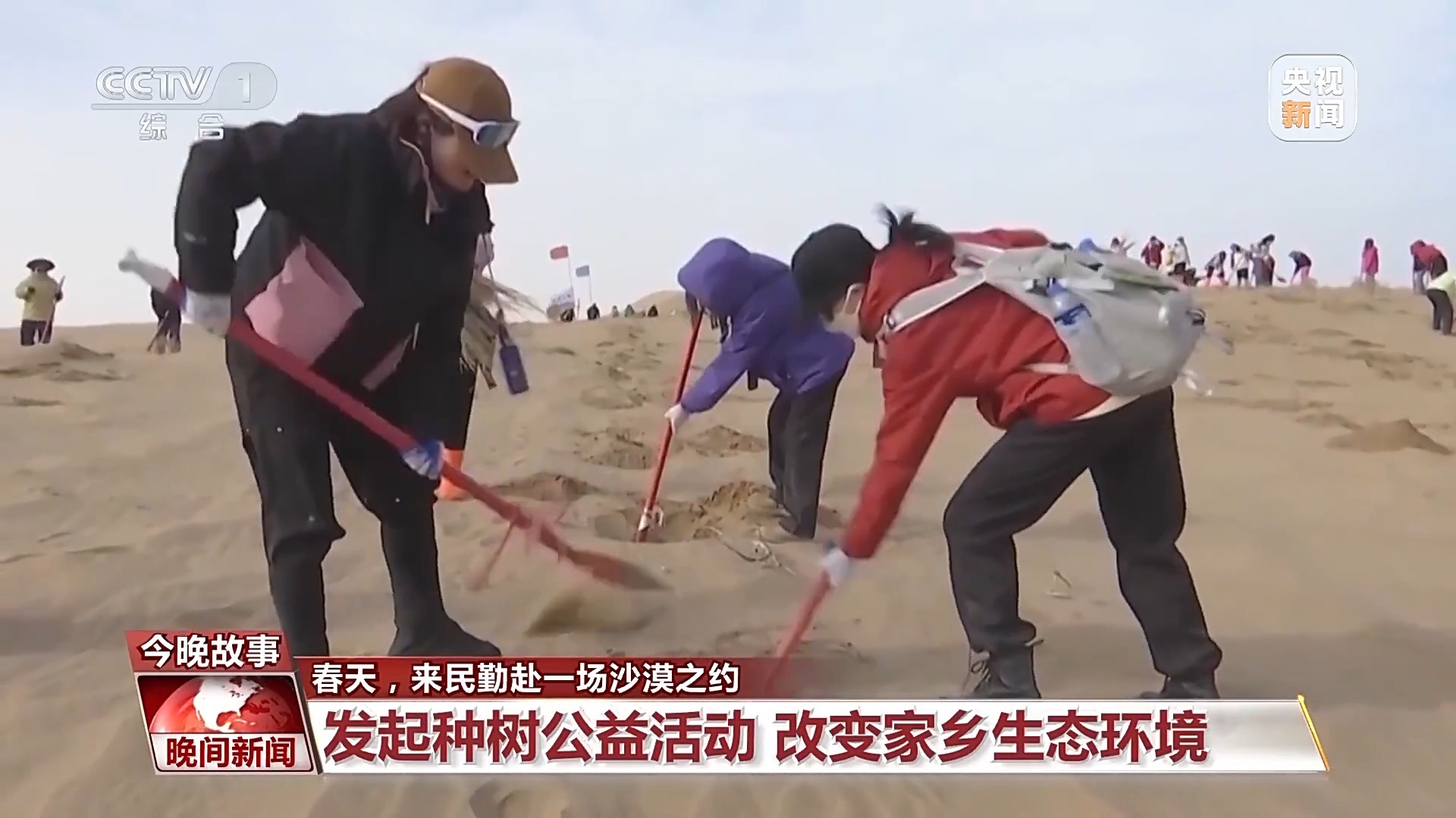 数万人次申请到民勤来种树！春天，共赴一场“沙漠之约”
