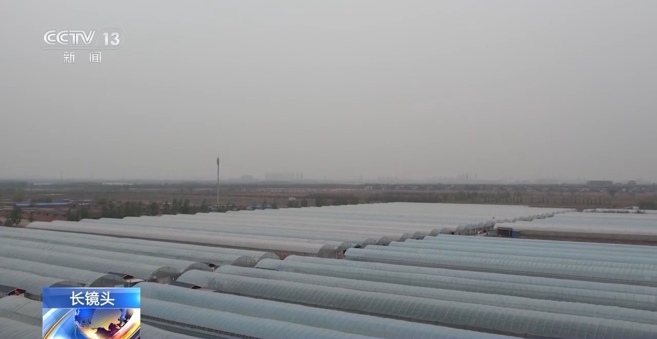 强风来袭 400亩葡萄保住了！多亏了这条朋友圈