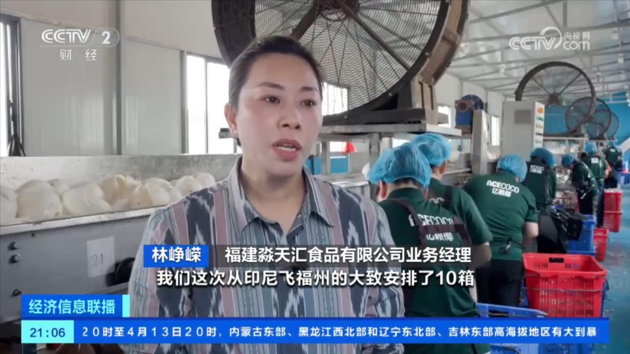 “椰”来喽！我国初次从印度尼西亚进口鲜食椰子