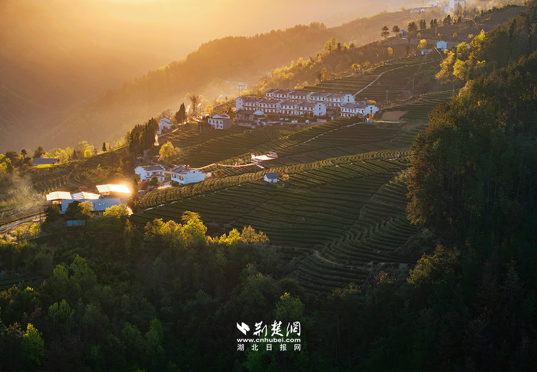 640?wx_fmt=png&from=appmsg&&wxfrom=5&wx_lazy=1&wx_co=1