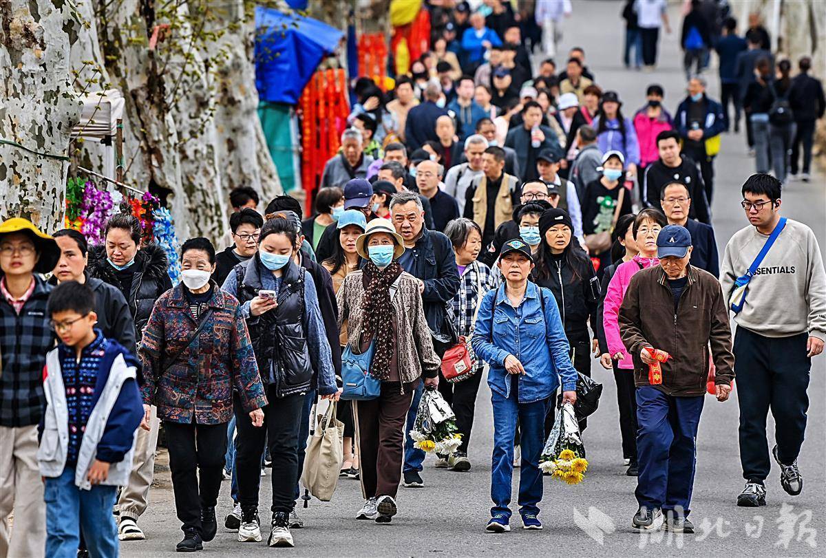 清道节假期的第一天带来了记忆服务的顶峰，几