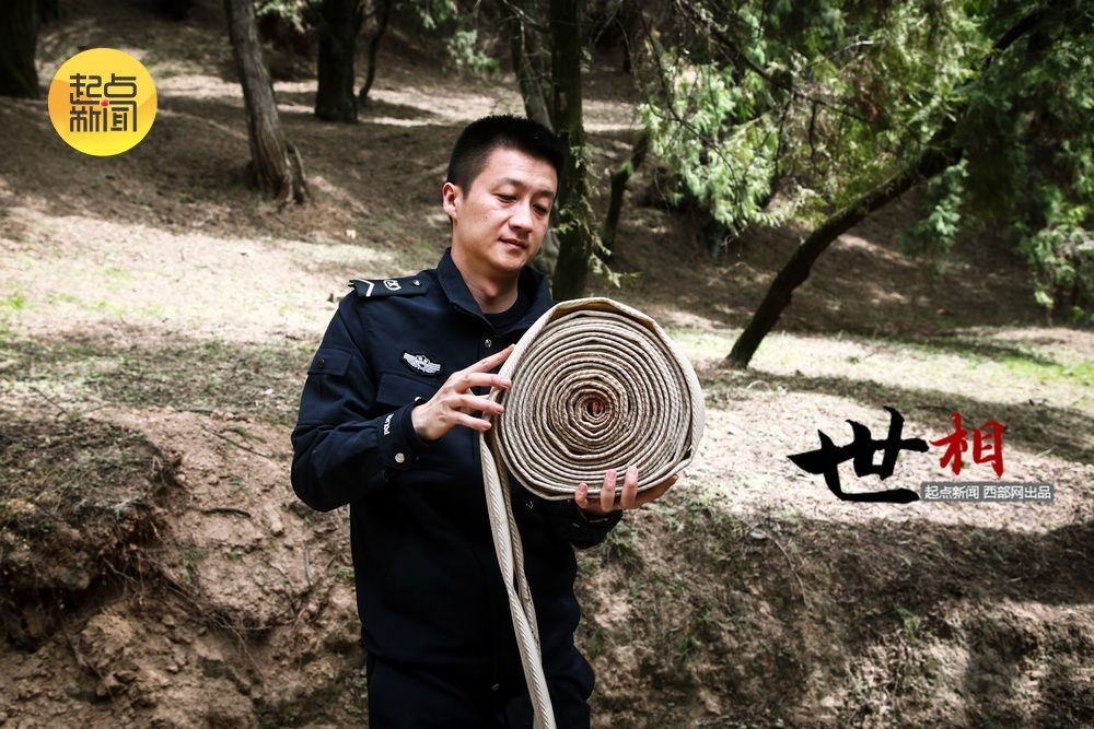 jbo竞博电竞平台守得桥山见翠柏(图6)