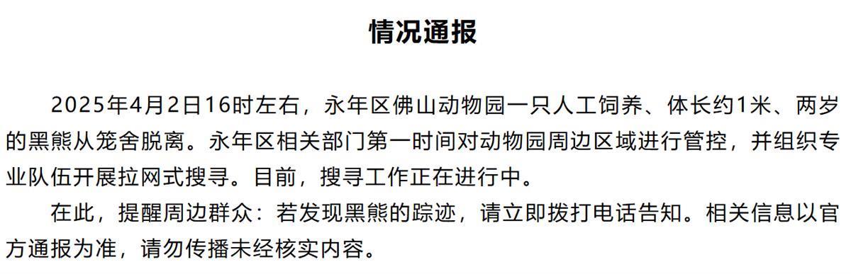 一只黑熊在Handan中的动物园逃脱了24小时以上，但