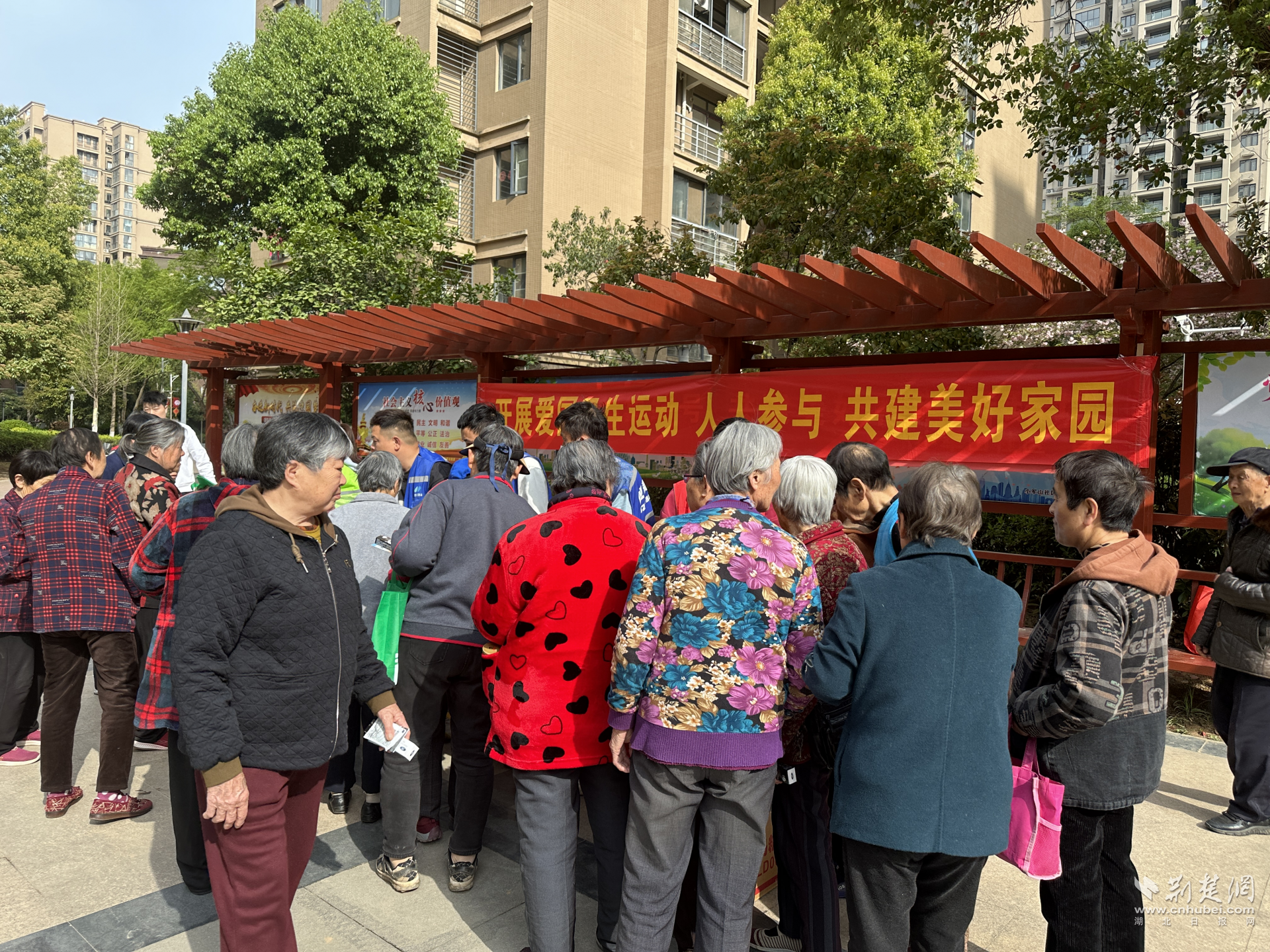 图片12.png.png