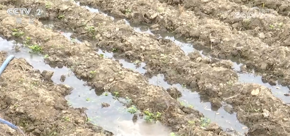 聆听“干旱”和广西瓜甘坐标，并确保最大程度