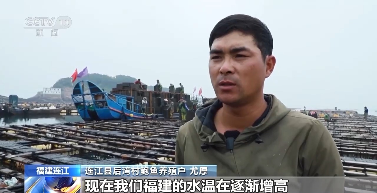 鲍鱼还害怕高温吗？鲍鱼的福建20,000吨开始向北