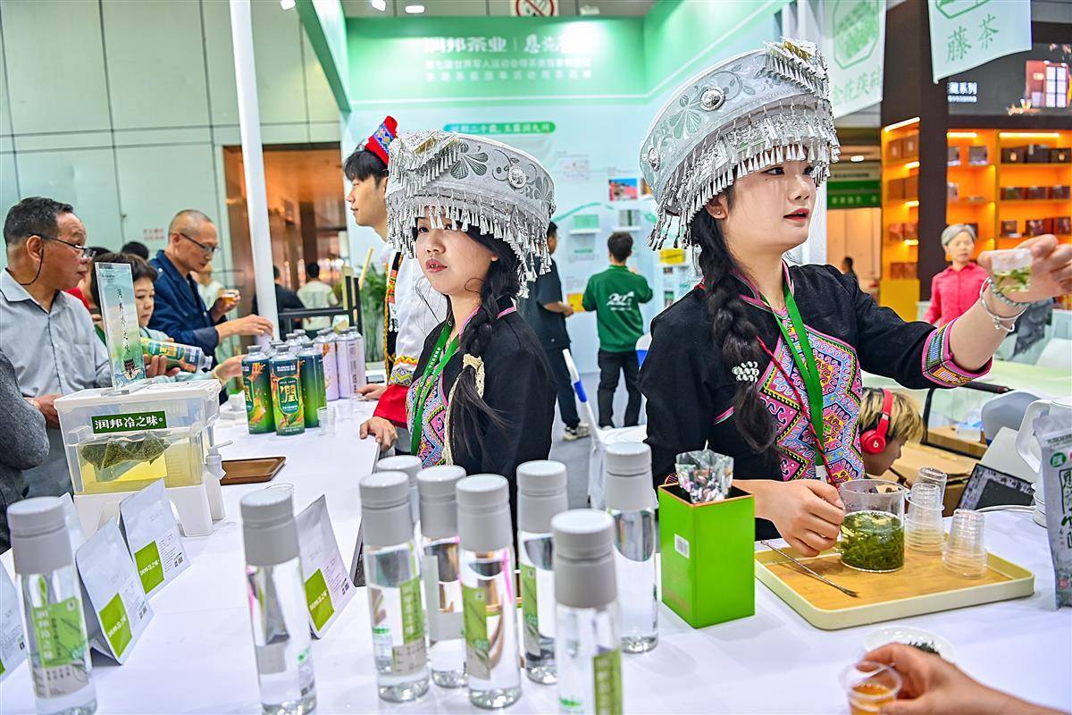 少数民族美女茶艺师为你泡茶必赢app(图2)
