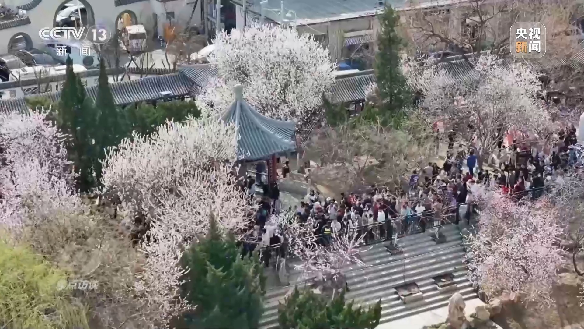 博冠体育APP：焦点访谈丨创新多元化消费场景 助力“春日经济”焕发新活力(图5)
