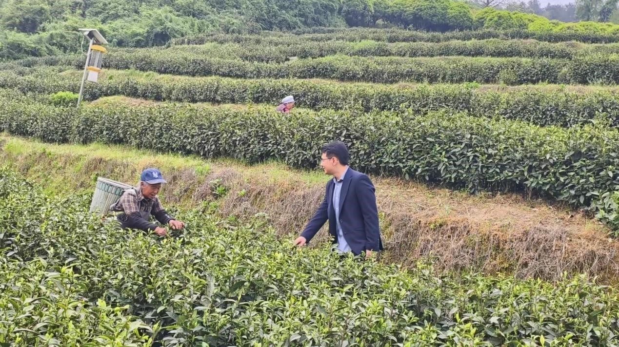财务培养县经济并通过将珠子与链条绑在一起的