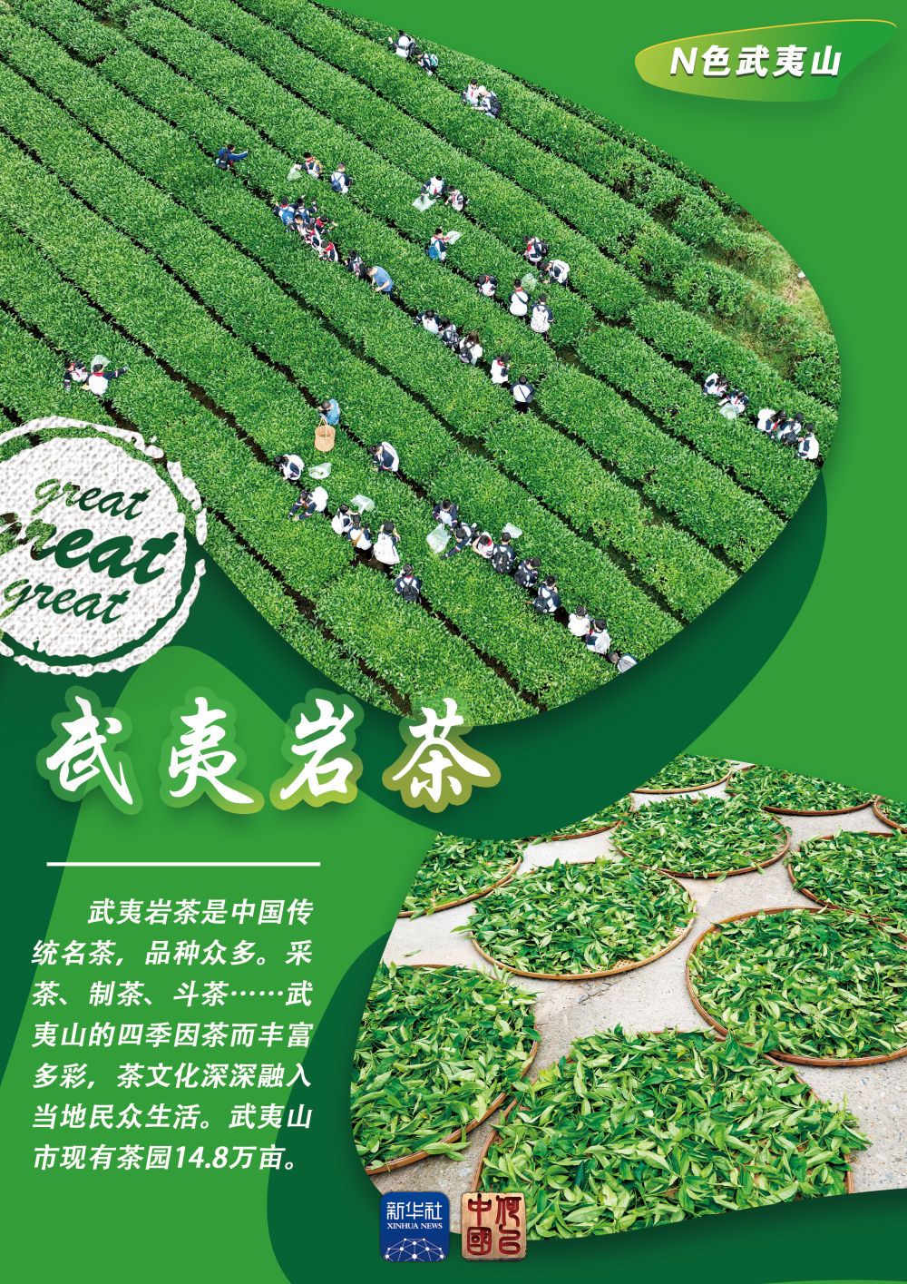 何故我国｜N色武夷山